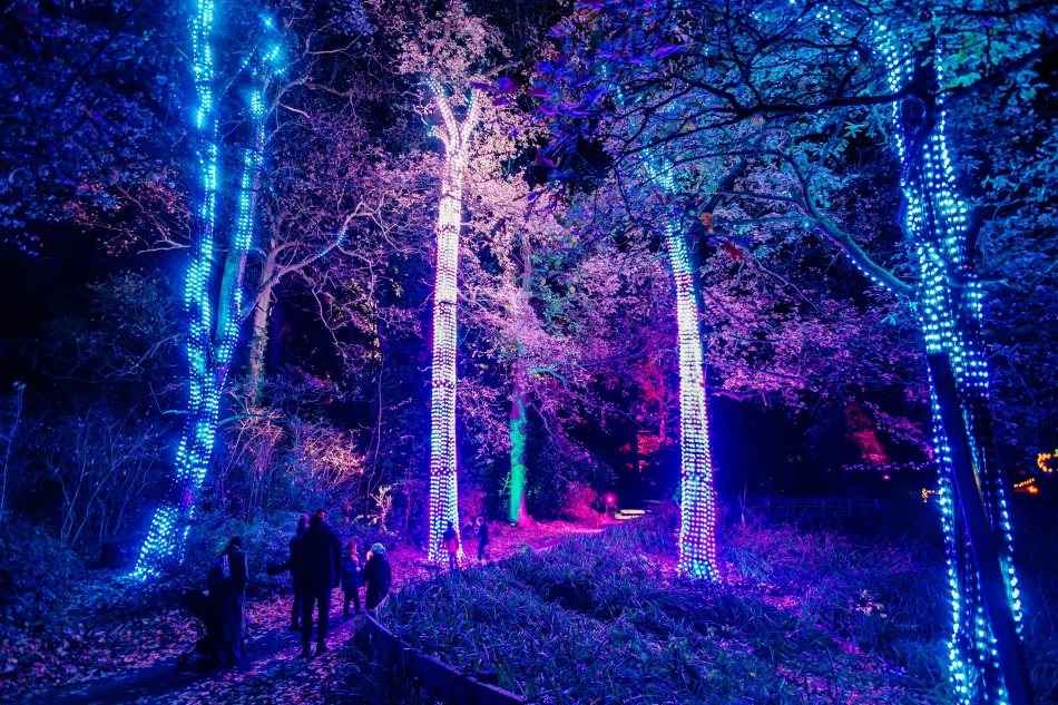 Northern Lights