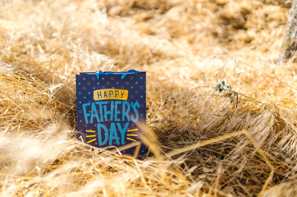 Blue Paper Bag on Bushes by RDNE Stock project / Free to use under the Pexels License.