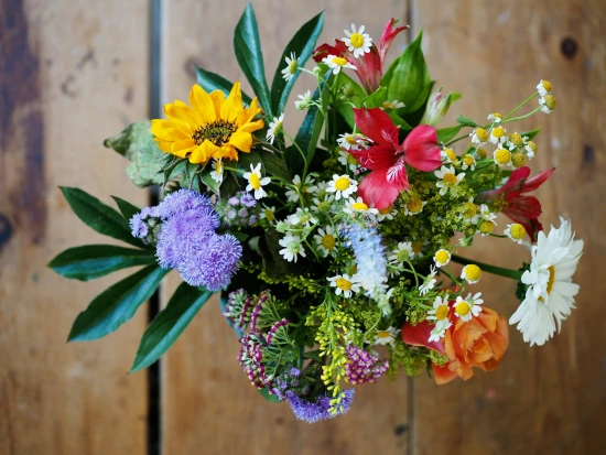Assorted Colour Flowers on Brown Wood, Photo by Niklas Ohlrogge / Free to use under the Unsplash License