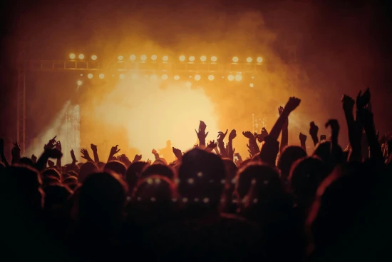 People at Concert / Photo by Vishnu R Nair via Pexels / Free to use under the Pexels Licence