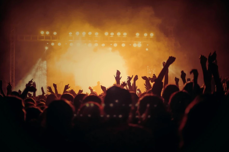 People at Concert / Photo by Vishnu R Nair via Pexels / Free to use under the Pexels Licence