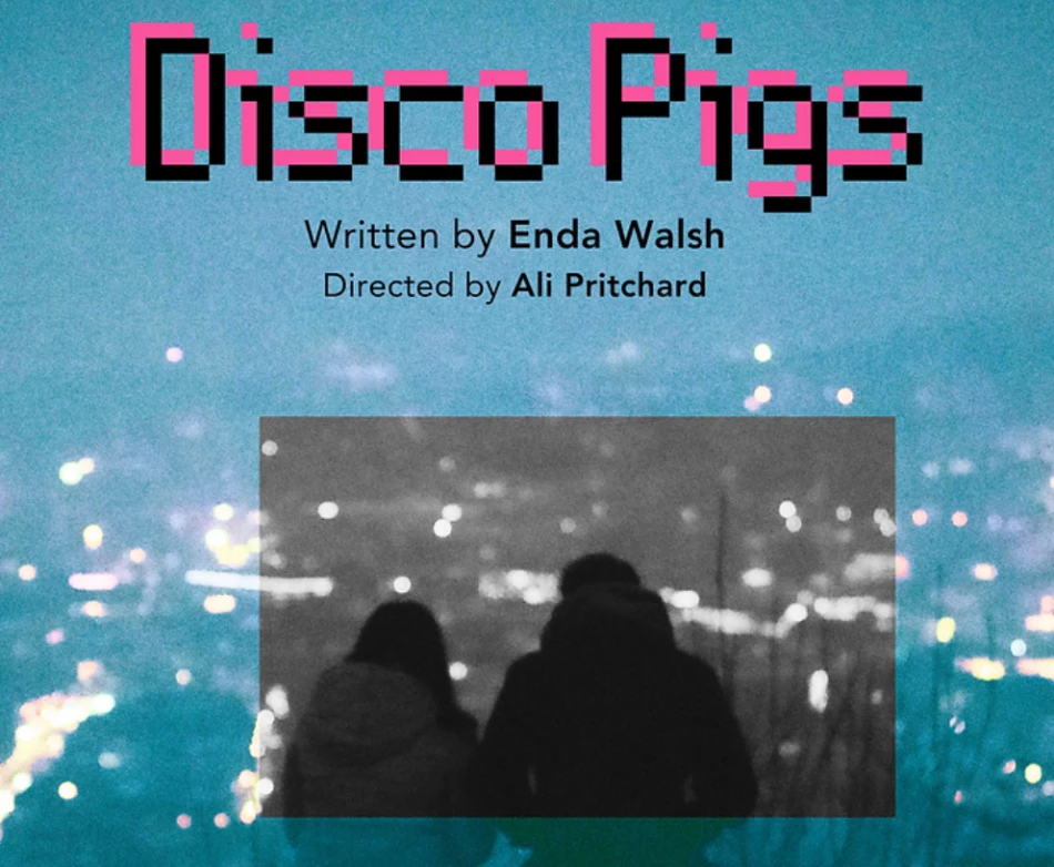 Disco Pigs