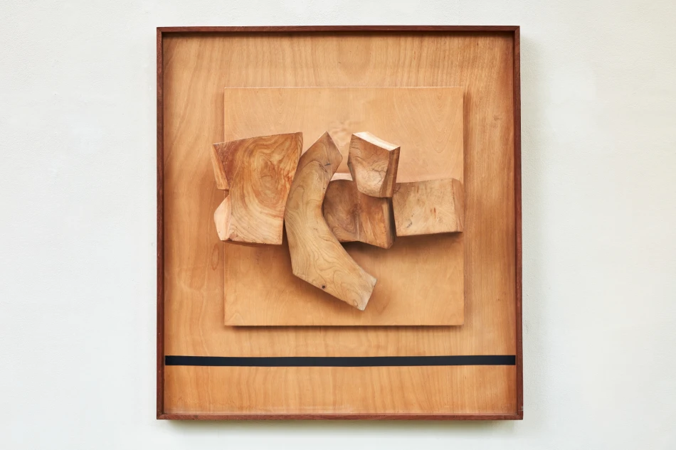 Matt Rugg, Boomerang, Roche Court Gallery