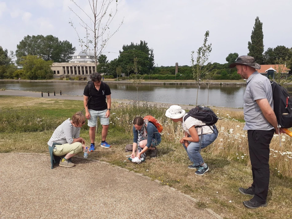 Newcastle’s Nature Networks will develop and improve pollinator pathways across Newcastle upon Tyne.