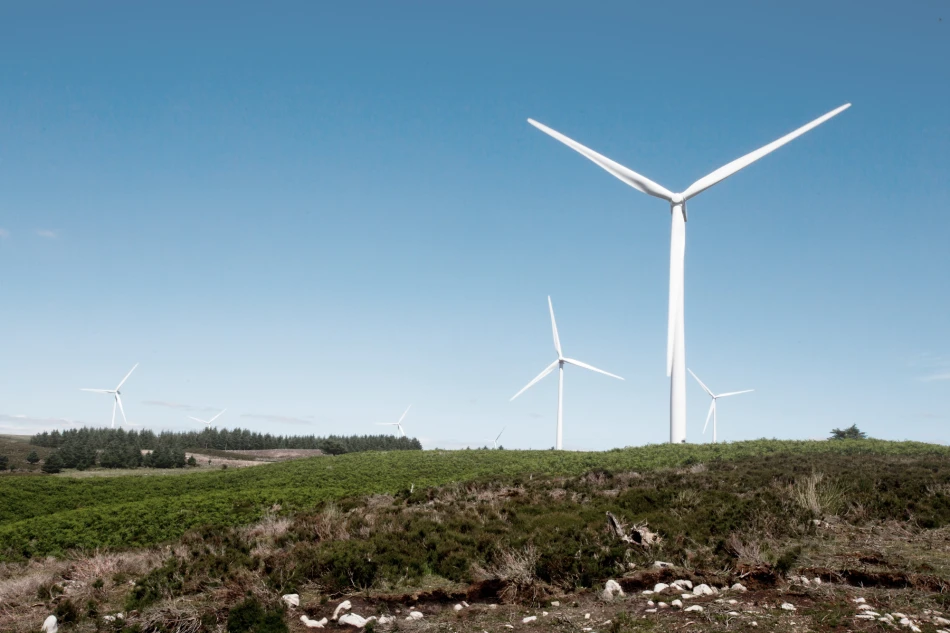 Image: Ray Wind Farm, Northumberland © Vattenfall, Peter Skelton KG Photography