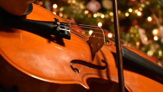 Vivaldi Four Seasons at Christmas
