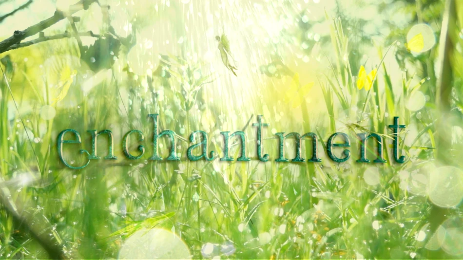 Enchantment Productions Get into Newcastle