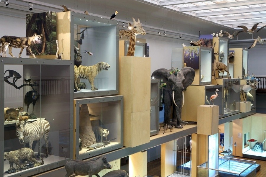 Great North Museum Hancock Shop Get Into Newcastle