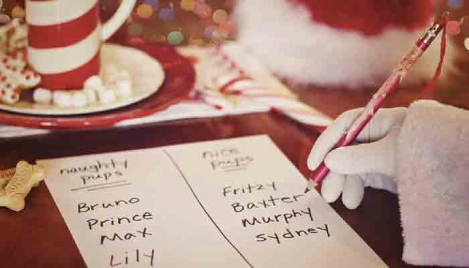 Find Father Christmas 