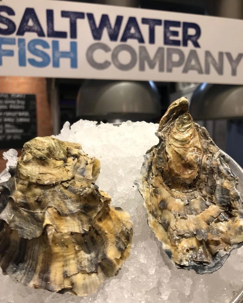 Oyster Happy Hour Saltwater Fish Company Get into Newcastle